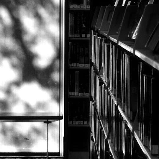 Poetic Voice & Recitations Maryam Azadmard - Voice of Inner Stillness - Persian Spoken Word and Poetic Recitation